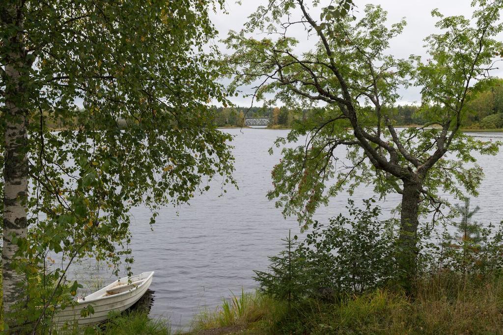 Lemettilae Countryside Accommodation Petäjävesi Bagian luar foto